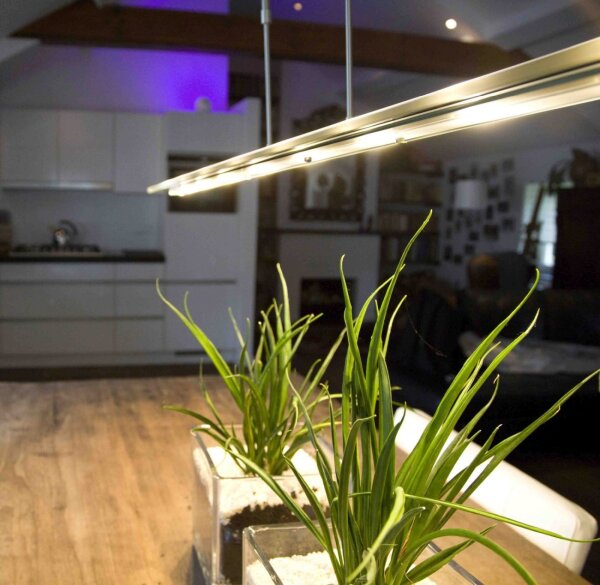 Dimmbare LED Pendelleuchte mit Glasschirm Schwarz