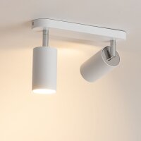 Deckenspot in Weiß 2-flmg