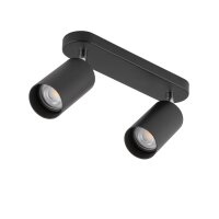 Deckenspot in Schwarz 2-flmg