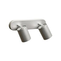 Deckenspot in Silber 2-flmg
