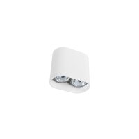 Projecteur Blanc Aluminium 2flmg
