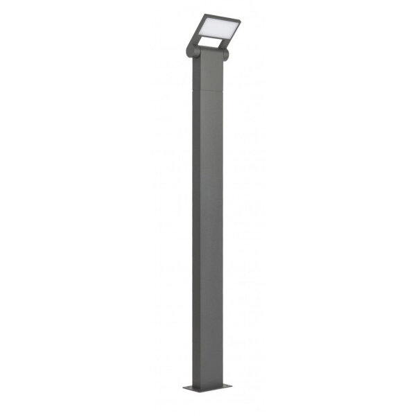 Lampe dallée à LED Anthracite IP54 4000K 600 lm 100 cm
