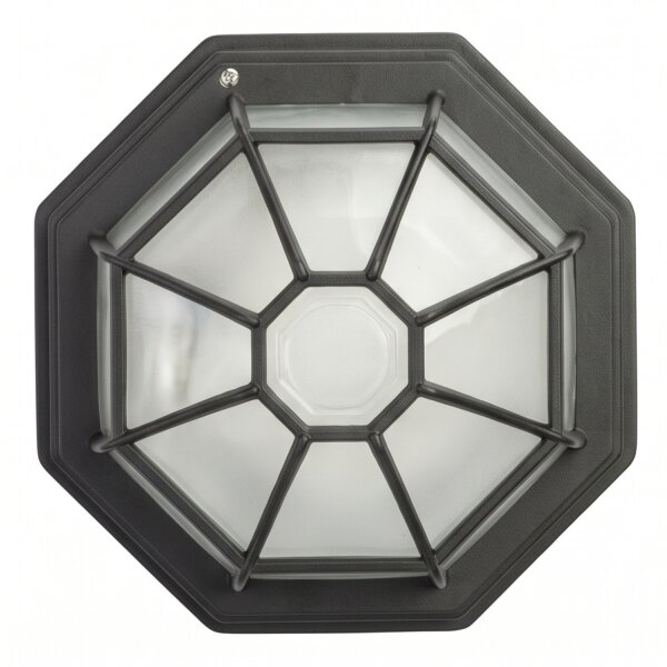 Plafonnier rustique extérieur IP43 aluminium verre
