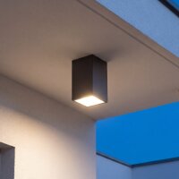 Au&szlig;enlampe Anthrazit IP54 H:21cm E27 Deckenleuchte