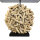Lampe de table décorative Bois flotté Abat-jour en tissu Travail manuel