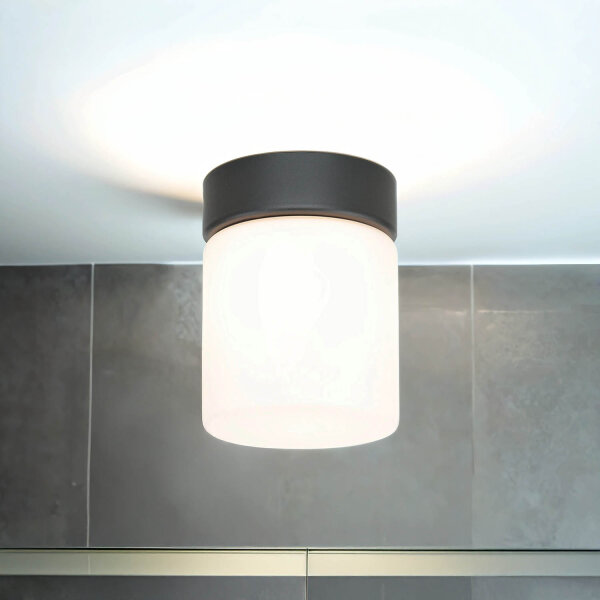 Kleine Deckenleuchte Weiß Schwarz Glasschirm IP44