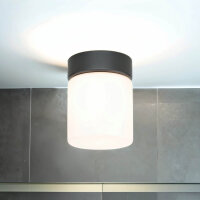 Kleine Deckenleuchte Weiß Schwarz Glasschirm IP44