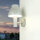 Lampe LED dextérieur murale argentée IP44 680 lm 3000 K
