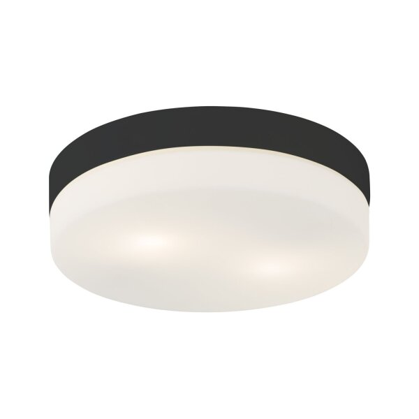 Lampe de salle de bain plafond IP44 salle de bain Ø 29 cm rond blanc noir