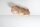 Plafonnier 3 flammes 36 cm petit bois GU10 confortable