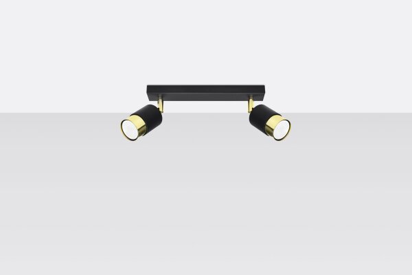 Deckenstrahler Schwarz Gold 30 cm länglich 2-flammig GU10