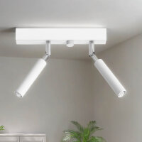 Deckenstrahler SARGAS Weiß 25 cm breit klein 2-flammig