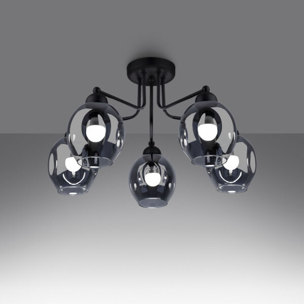 Deckenlampe Schwarz Rauchglas Metall E27 Modern