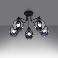 Deckenlampe Schwarz Rauchglas Metall E27 Modern