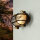 Applique extérieure Maritim IP64 laiton verre strié E27
