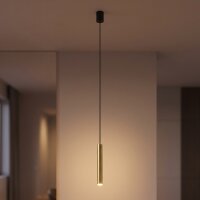 H&auml;ngelampe GU10 R35 &Oslash; 4 cm in Schwarz Messing verstellbar
