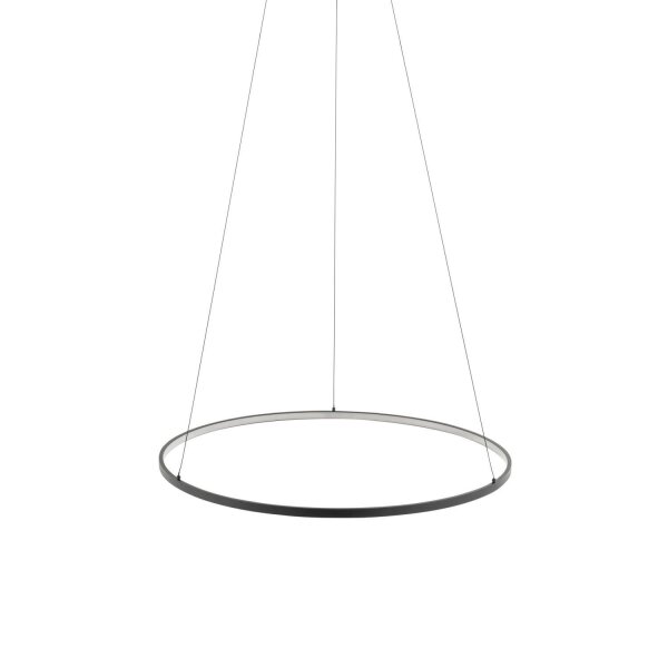 Pendelleuchte LED Schwarz 4000 K 700 lm Ø 60 cm Metall