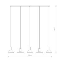 Pendelleuchte 5-flammig GU10 Schwarz Metall verstellbar