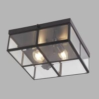 Deckenleuchte 2-flammig E14 Schwarz matt Glas Metall