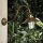 Lampe dextérieur murale IP44 E27 en bronze antique mat laiton véritable