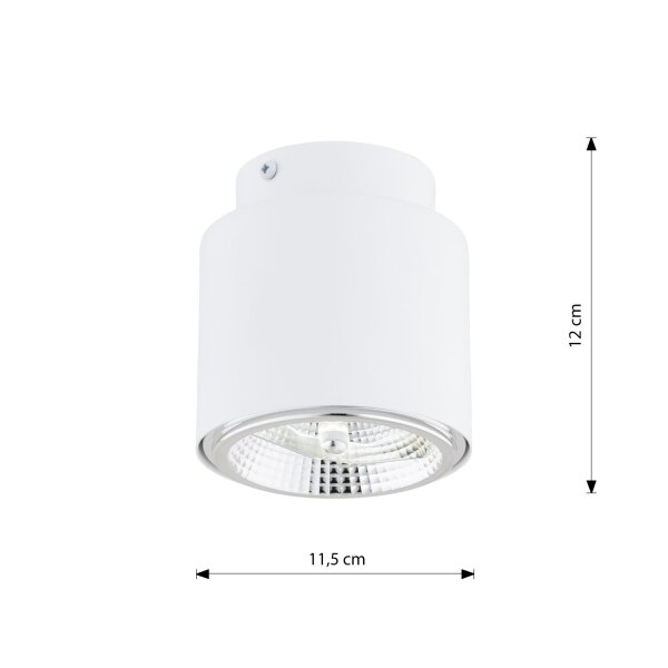 Deckenspot Weiß Aufputz Ø 11,5 cm H: 12 cm GU10 AR111 Metall