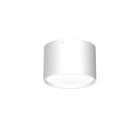 Spot de plafond LED Blanc Métal Ø5,8 cm...
