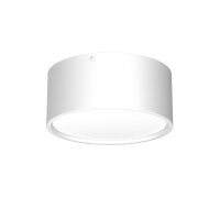 Spot de plafond LED Blanc Métal Ø5,8 cm...