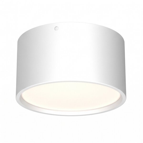Spot de plafond LED Blanc Métal Ø5,8 cm 4000 K 762 lm