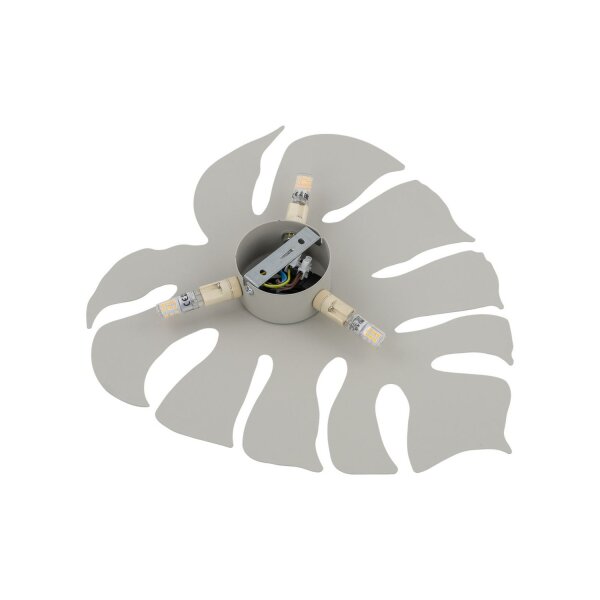 Wandlampe Metall Beige H: 40c m Monstera Blatt 3x G9