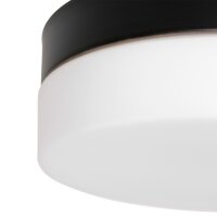 Plafonnier LED rond verre métal IP44 Ø18 cm...