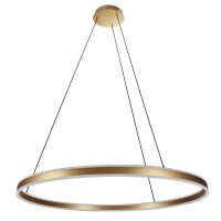 LED Pendelleuchte Metall Kunststoff Ø100 cm 80 W...