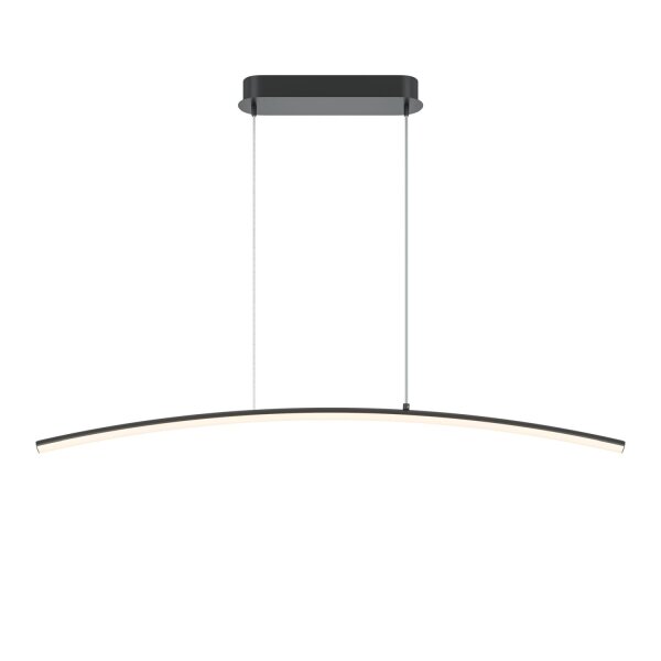 LED Hängeleuchte Metall H: max. 305,7 cm Schwarz 800 lm