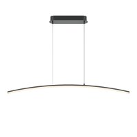 LED Hängeleuchte Metall H: max. 305,7 cm Schwarz 800 lm