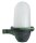 Lampe dext&eacute;rieur murale laiton verre H : 21 cm IP64 vert antique