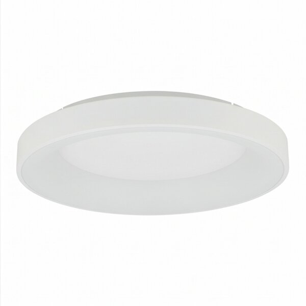 Plafonnier LED Blanc Métal Ø60 cm rond 3000 K blanc chaud