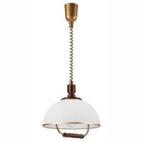 Lampe à suspendre ronde verre bois E27 Ø30...