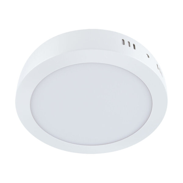 Plafonnier LED rond blanc 4000 K 2010 lm Ø 22,5 cm