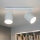 Spot de plafond blanc 2 flmg E27