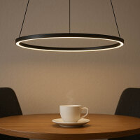 LED Hängeleuchte Metall Ring Ø 45 cm Schwarz...