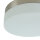 Deckenlampe Glas Matt Nickel