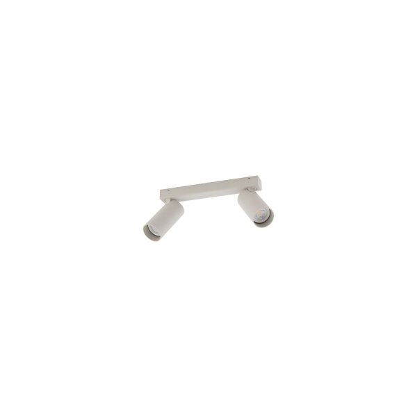 Deckenspot 2-flammig flexibel Aluminium Seidengrau GU10