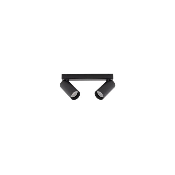Deckenspot 2-flammig verstellbar Aluminium Schwarz GU10