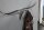 Portemanteau mural tête de taureau en aluminium 4 crochets 100cm de long