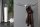 Portemanteau mural tête de taureau en aluminium 4 crochets 100cm de long