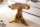 Table dappoint en teck Rondelle darbre 50x50 cm artisanale