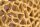 Couchtisch Metall in Gold 73 x 73 cm Handarbeit