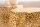 Couchtisch 2er Set Metall in Gold Handarbeit