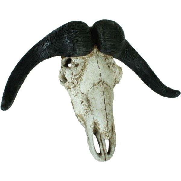 Dekoschädel Büffel Jagdtrophäe B: 65,5 cm Polyresin