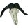 Dekosch&auml;del B&uuml;ffel Jagdtroph&auml;e B: 65,5 cm Polyresin