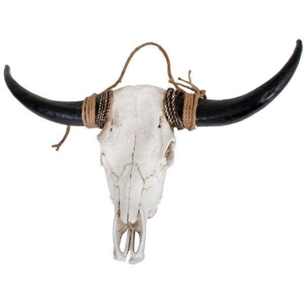 Déco crâne de bovin L : 80 cm grand artificiel blanc marron